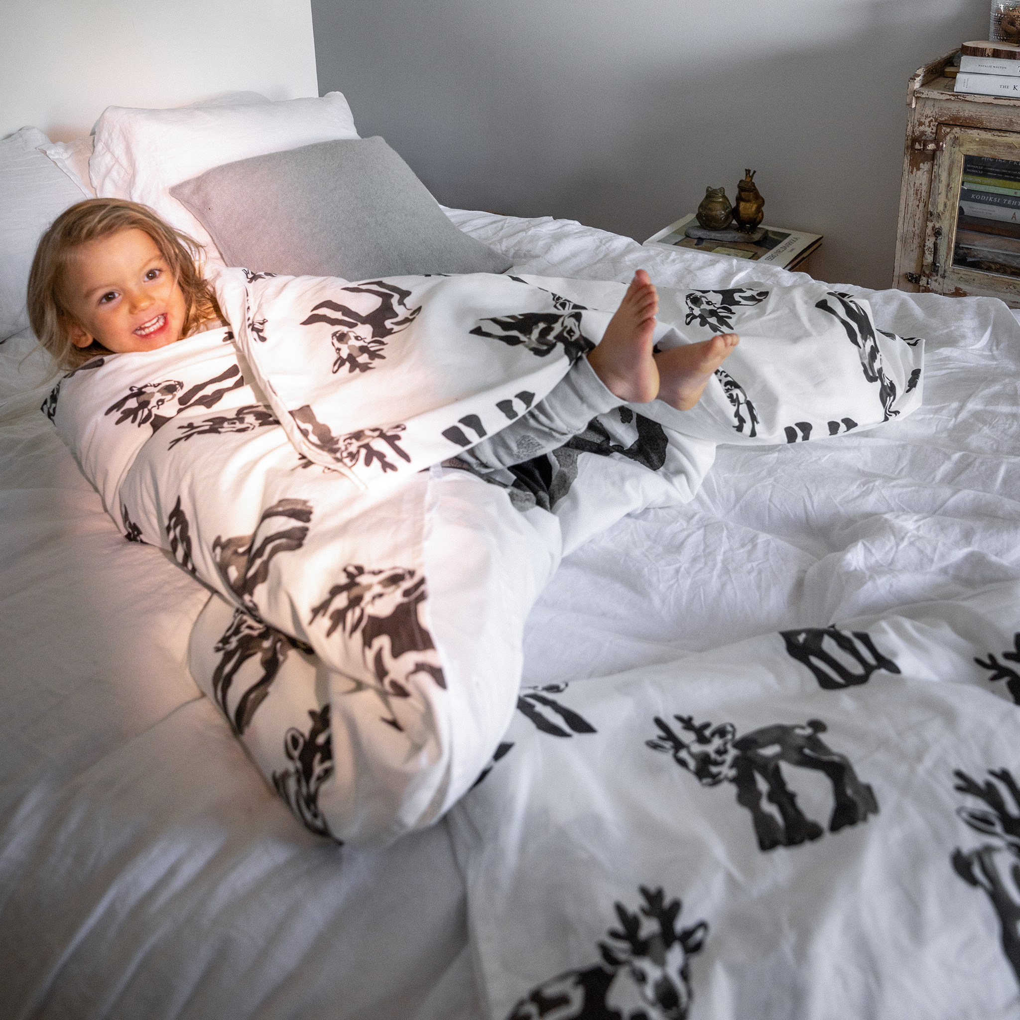 Vasa Pussilakanasetti