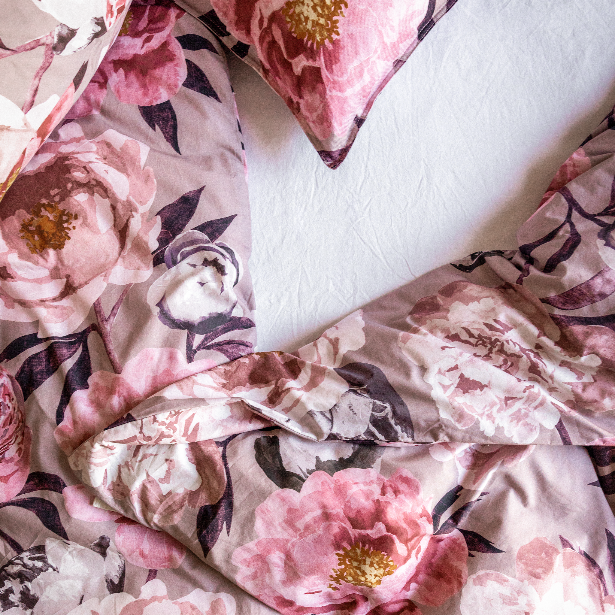 Pioni Pussilakanasetti