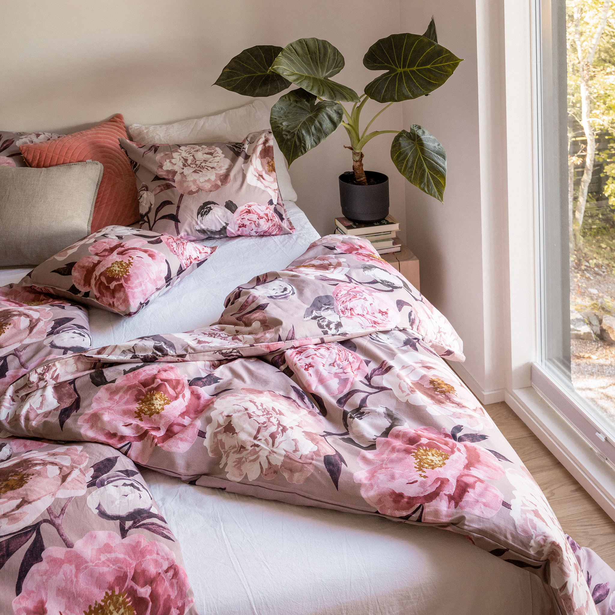 Pioni Pussilakanasetti