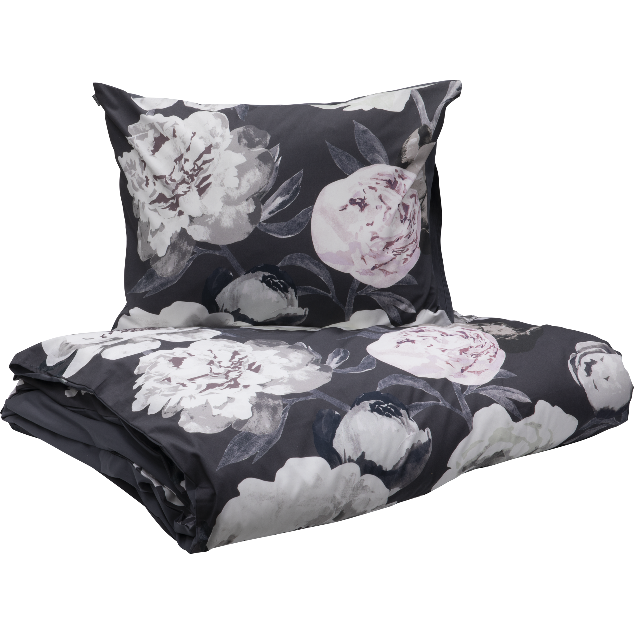 Pioni Pussilakanasetti