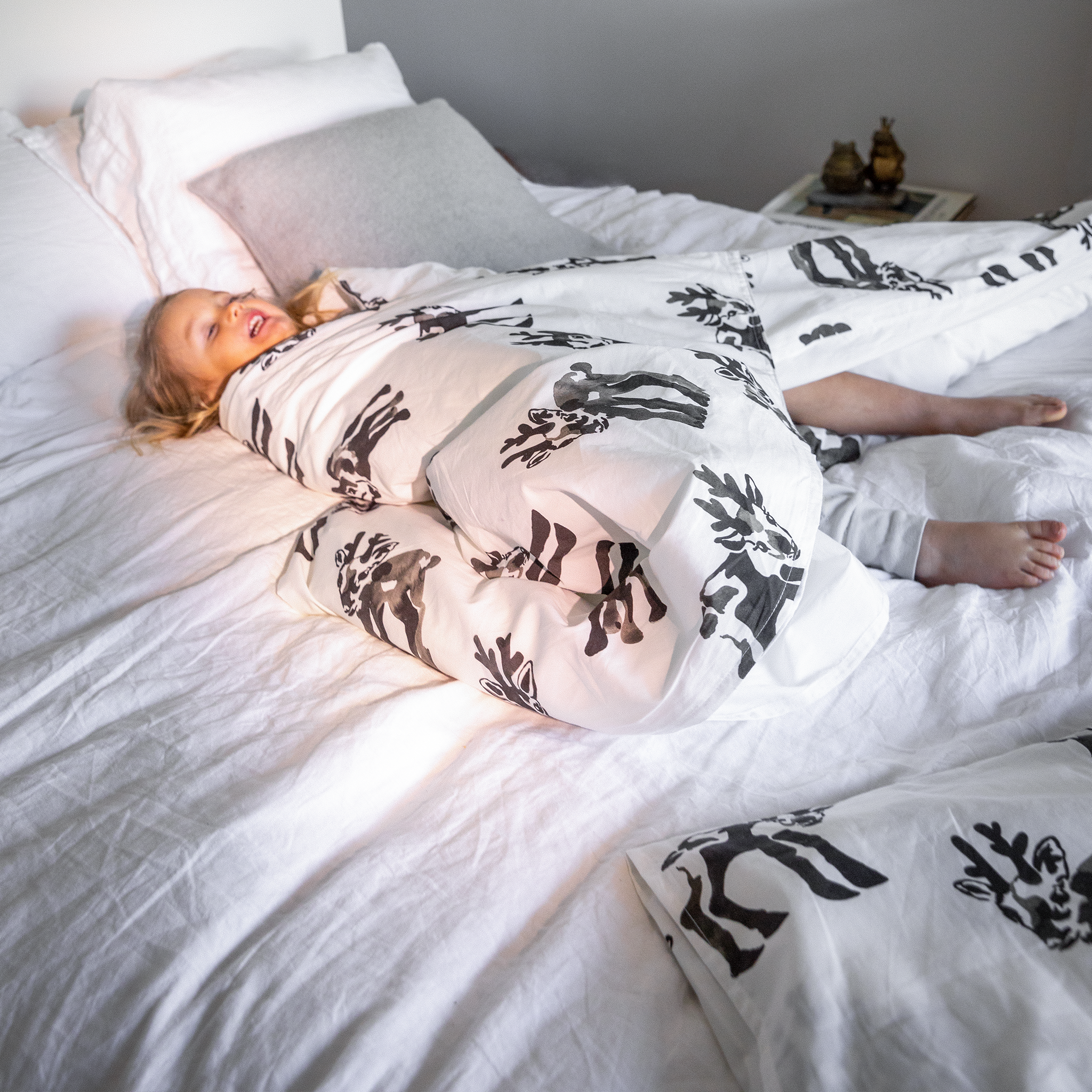 Vasa Pussilakanasetti