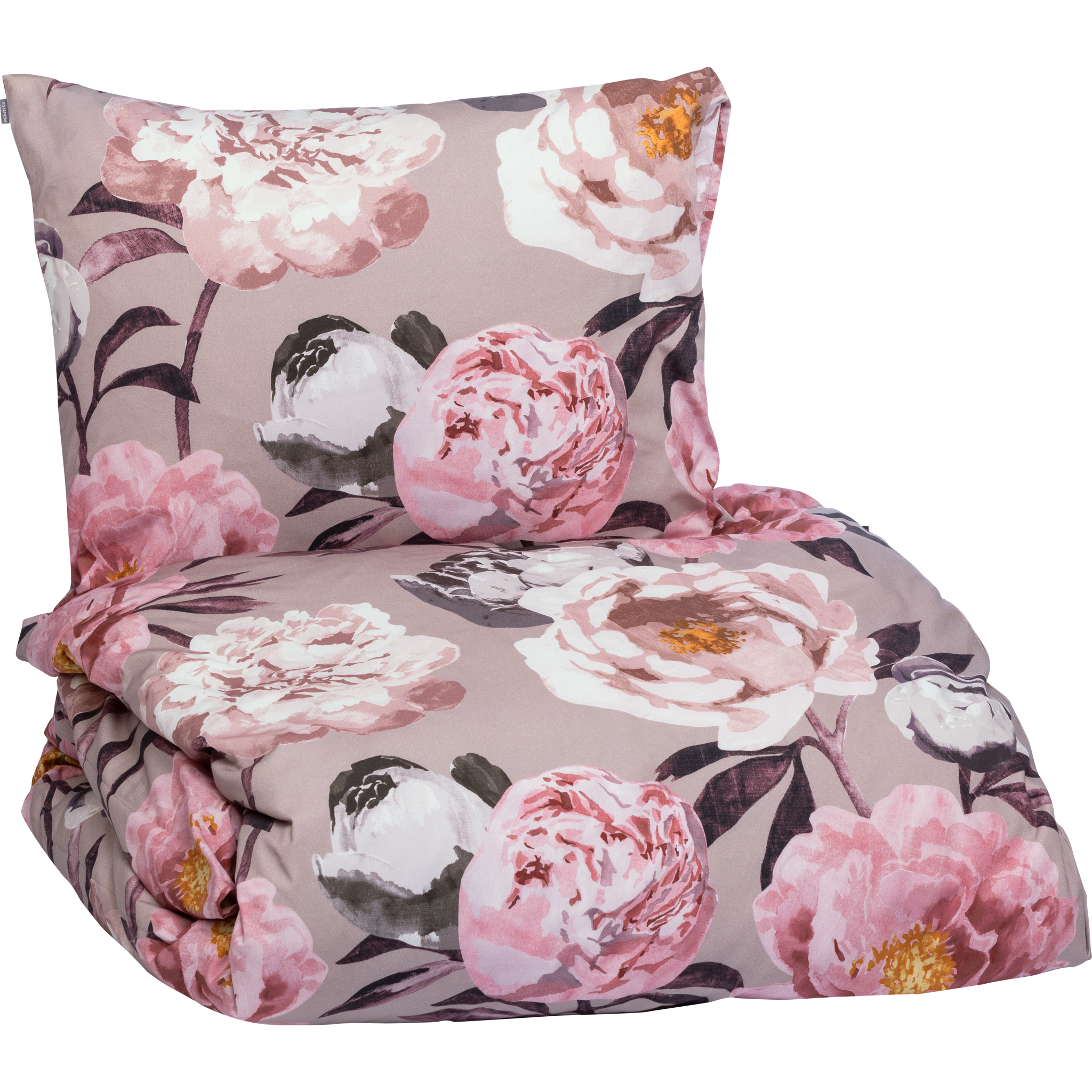 Pioni Pussilakanasetti